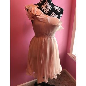 NWOT Blush Boutique Dress